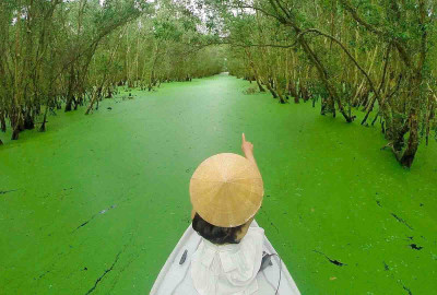 MANGROVE FOREST - MONKEY ISLAND FULL DAY