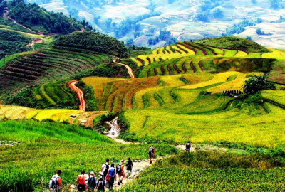 Bac Ha Market Full Day from Sapa