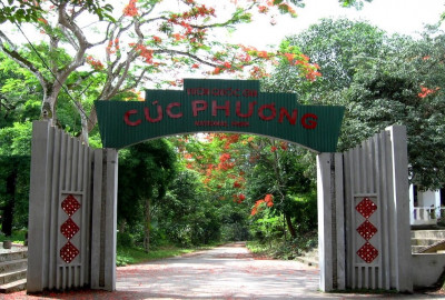 Hoa Lu Tam Coc Cuc Phuong 2 Days