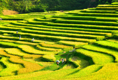 Mai Chau Trekking 3 Days 2 Nights