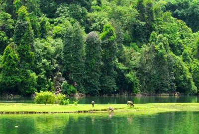 Ba Be Lake Homestay 2 days